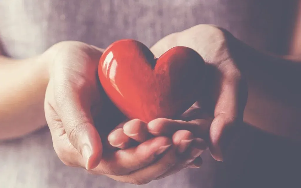 Cupped hands holding a glossy red heart against a soft grey background