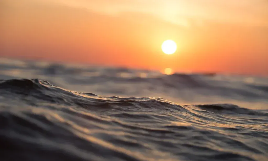 Golden sun setting low over rippling sea water at the horizon