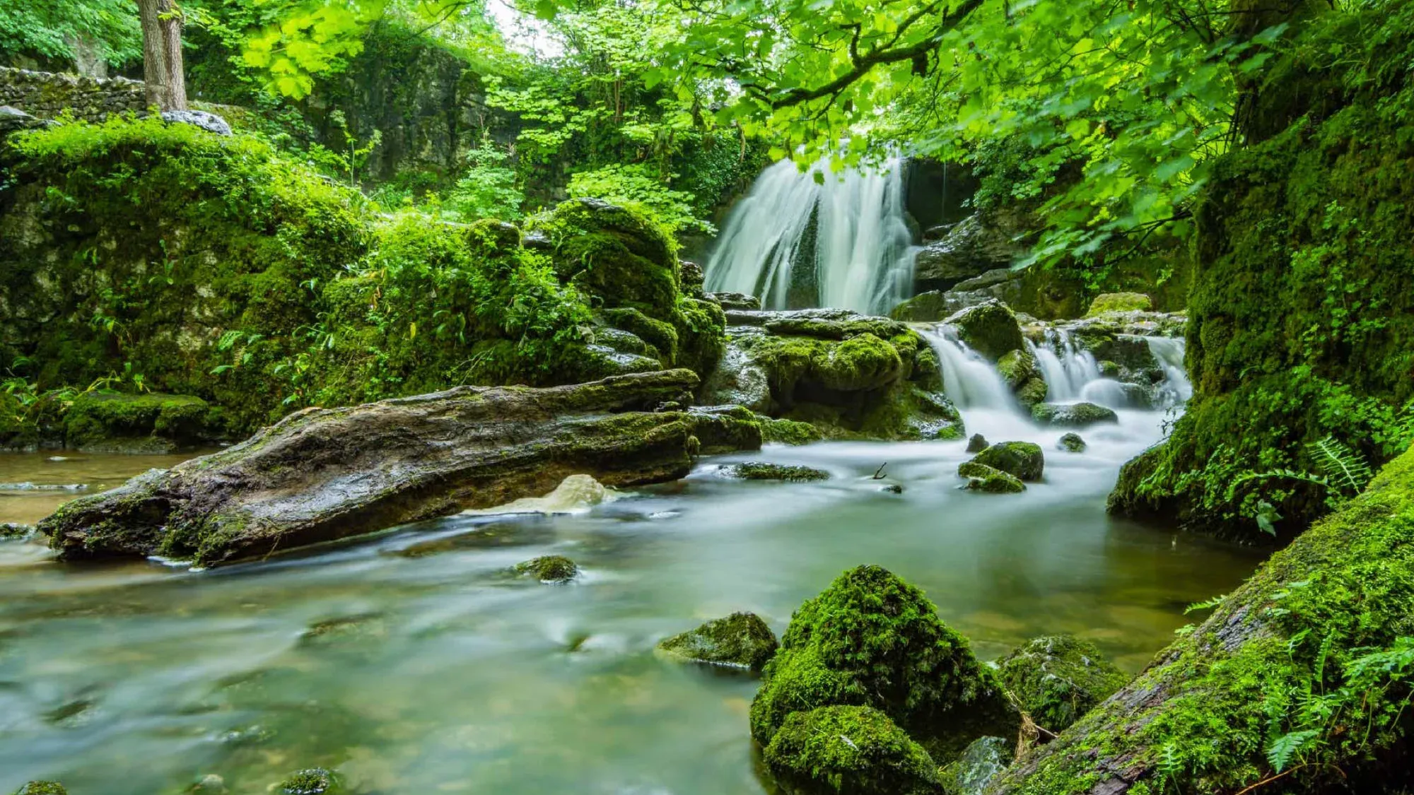 A small waterfall running over mossy rocks in a green wood