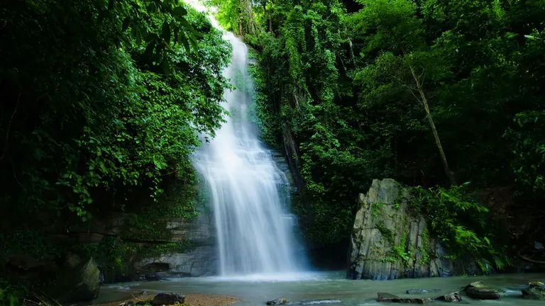 A waterfall falling into a pool in dense green forest