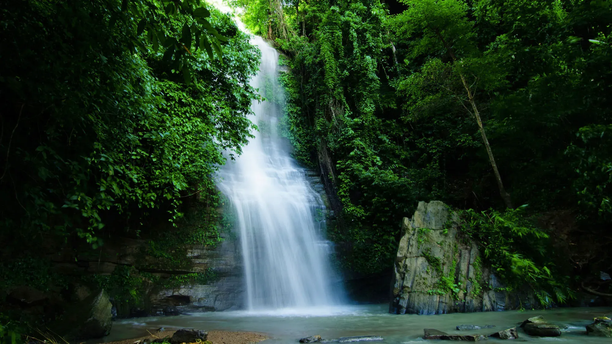 A waterfall falling into a pool in dense green forest
